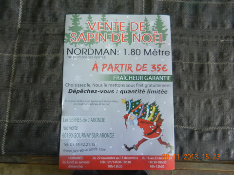 les sapins des serres (18).jpg