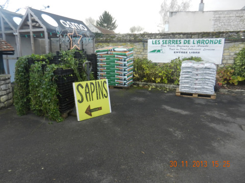 les sapins des serres (20).jpg