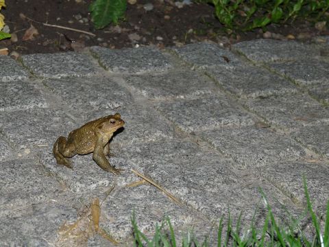 Besucher sind immer willkommen!