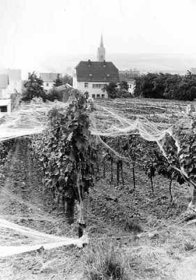 Vogelschutz 1975