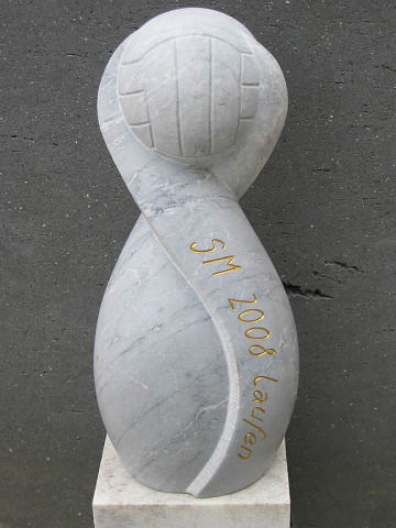 Volleyball-Pokal