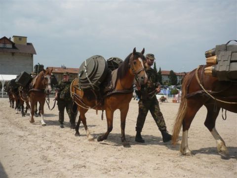 Trainpräsentation v. WM Krauer Ueli Altbüron, mit Pferd Meli, h. Std Baumgartner Mirjam Neuenkirch