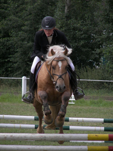 Epona Pip, der Sohn Pimurs war etra aus der Schweiz angereist