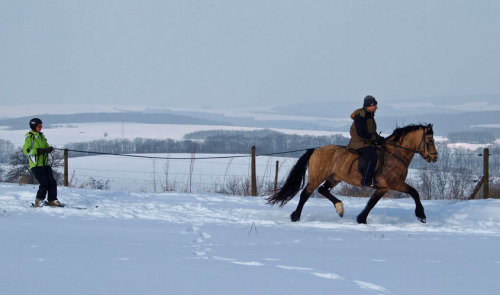 pimur_skijöring2010_008.jpg