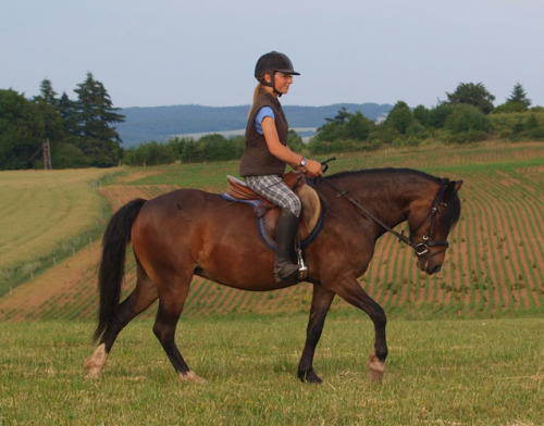 Training Melody-Schritt