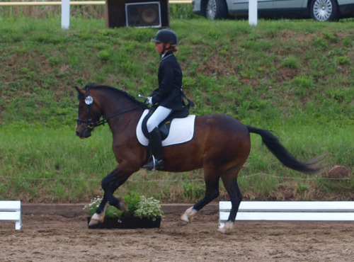 Turnier-Mello im Gallopp