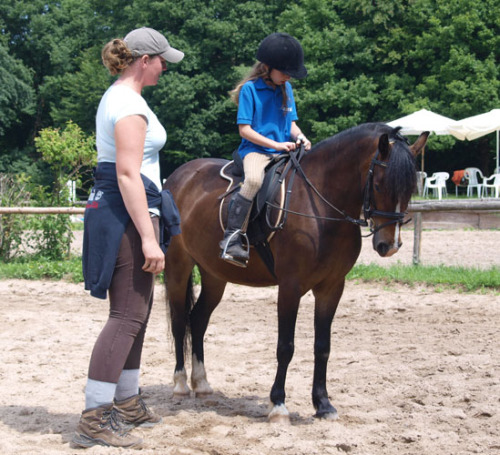 Mello mit Leo