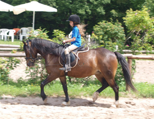 Melody beim Traben mit Leonie