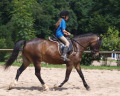 Leo ( 9j ) reitet Mello ( 4j ) Leo ( 9j ) reitet Mello ( 4j )