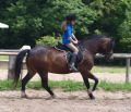 Im Galopp mit Leonie Im Galopp mit Leonie