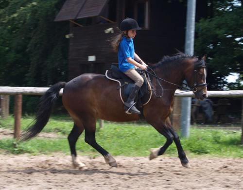 Leonie galoppiert das erste Mal alleine