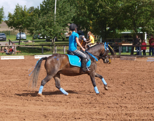 Ihr \\"Par de deux\\" heisst : PONYS