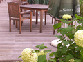 Terasse Hotel